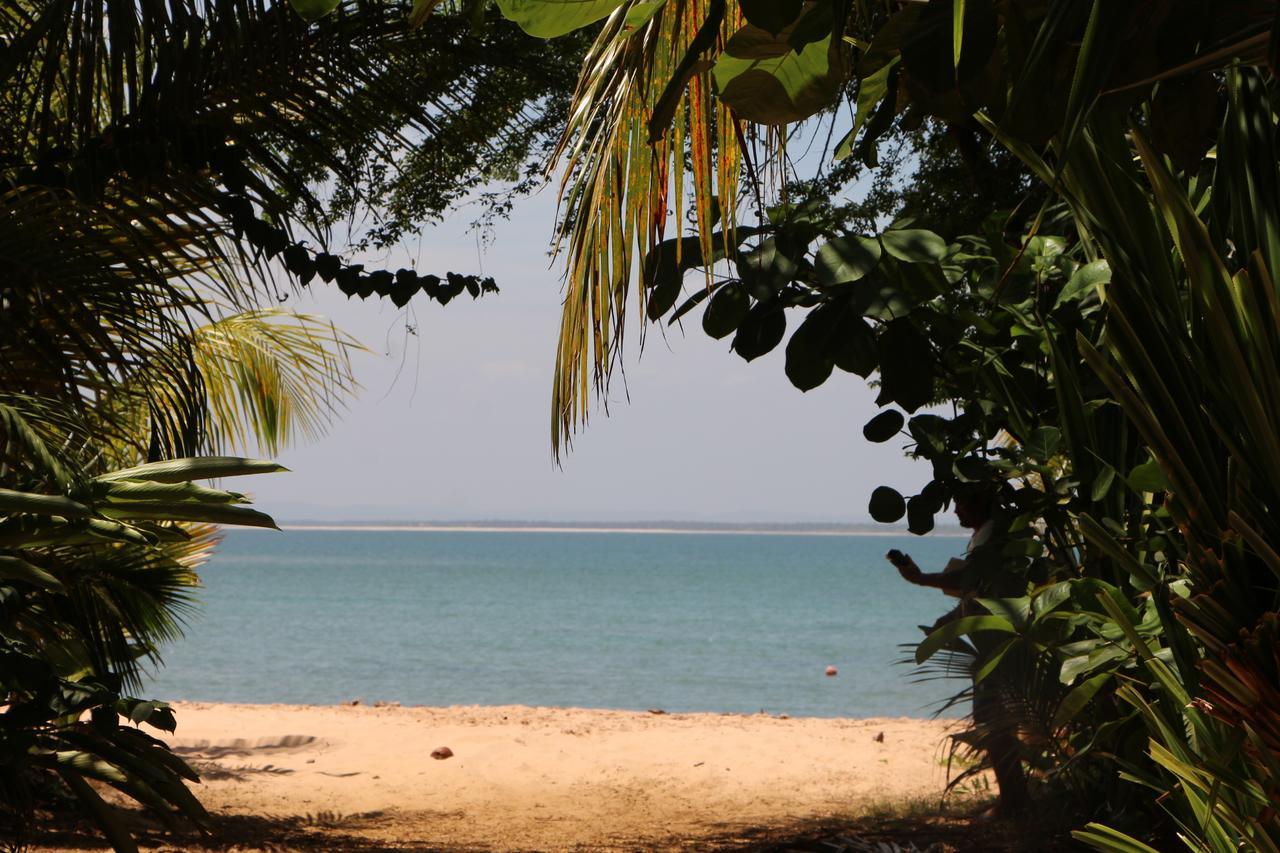 Coroaci Beach House Barra Grande  Exteriör bild